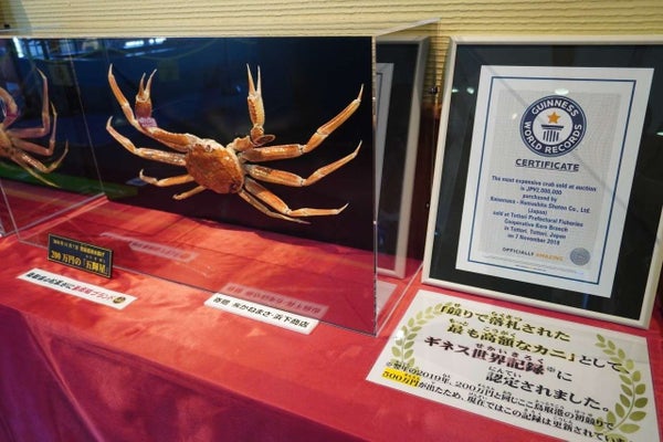 蟹取県・鳥取で食す!かに約3杯使用!かに22品料理!【住道・新石切発】3